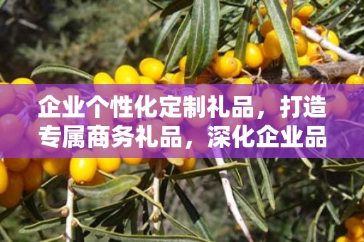 企业个性化定制礼品，打造专属商务礼品，深化企业品牌印象